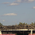 16_50-mast.jpg