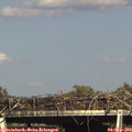 16_55-mast.jpg