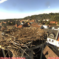 16_55-nest.jpg