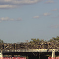 17_00-mast.jpg