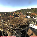 17_05-nest.jpg