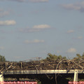 17_10-mast.jpg