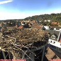 17_10-nest.jpg