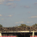 17_20-mast.jpg
