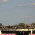 17_25-mast.jpg