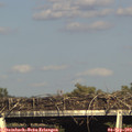 17_30-mast.jpg