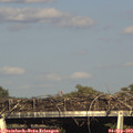 17_35-mast.jpg