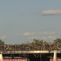 18_00-mast.jpg