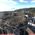 18_05-nest.jpg