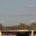 18_10-mast.jpg
