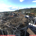 18_10-nest.jpg