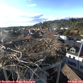 18_15-nest.jpg