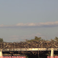 18_30-mast.jpg