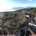 18_30-nest.jpg