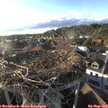 18_35-nest.jpg