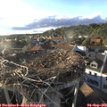 18_40-nest.jpg