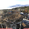 18_45-nest.jpg