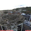 18_50-nest.jpg