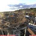 18_55-nest.jpg