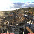 19_00-nest.jpg