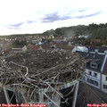 19_15-nest.jpg