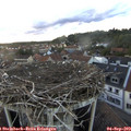 19_20-nest.jpg