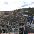 19_30-nest.jpg