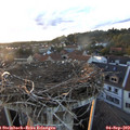 19_35-nest.jpg