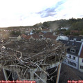 19_40-nest.jpg