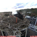 19_45-nest.jpg