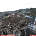 06_55-nest.jpg