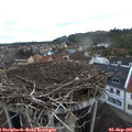 07_00-nest.jpg