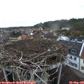 07_05-nest.jpg