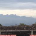 07_10-mast.jpg