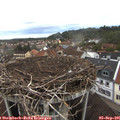07_10-nest.jpg