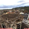 07_15-nest.jpg