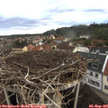 07_20-nest.jpg