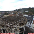 07_25-nest.jpg
