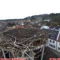 07_30-nest.jpg