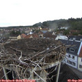 07_35-nest.jpg