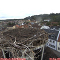 07_40-nest.jpg