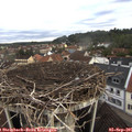 07_45-nest.jpg