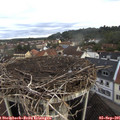 07_50-nest.jpg
