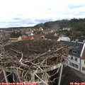 07_55-nest.jpg