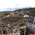08_00-nest.jpg