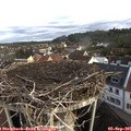 08_05-nest.jpg