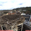 08_15-nest.jpg