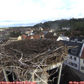 08_20-nest.jpg