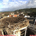 08_25-nest.jpg