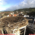 08_30-nest.jpg